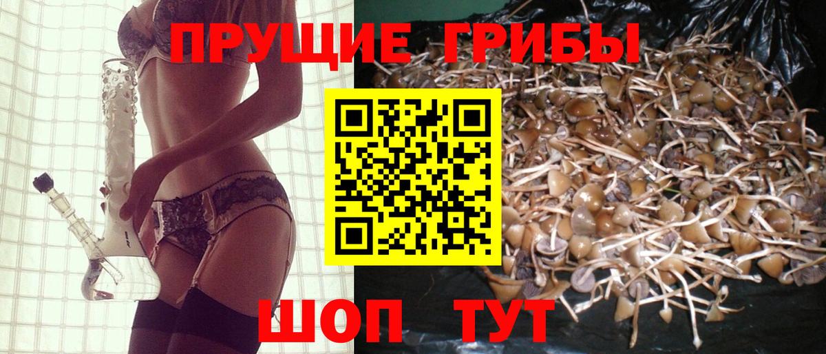 Лениногорск  Псилоцибиновые грибы мухоморы  Псилоцибиновые грибы прущие грибы  магазин продажи   Вход с VPN 