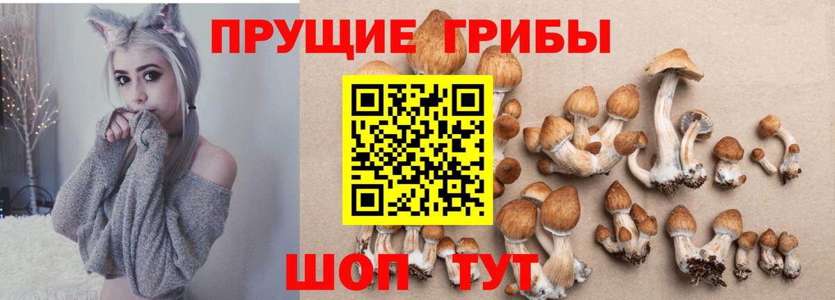 Галлюциногенные грибы мицелий Лениногорск
